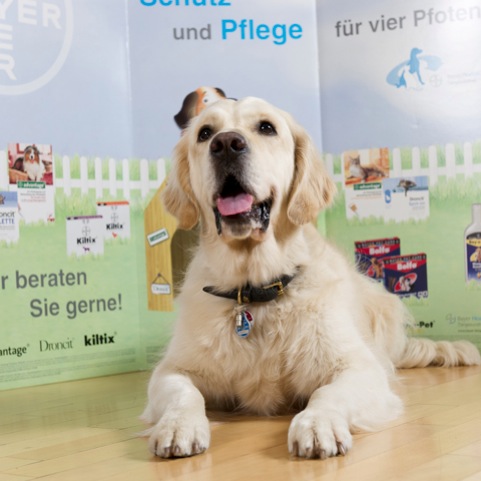 Schutz und Pflege f&uuml;r das Tier.